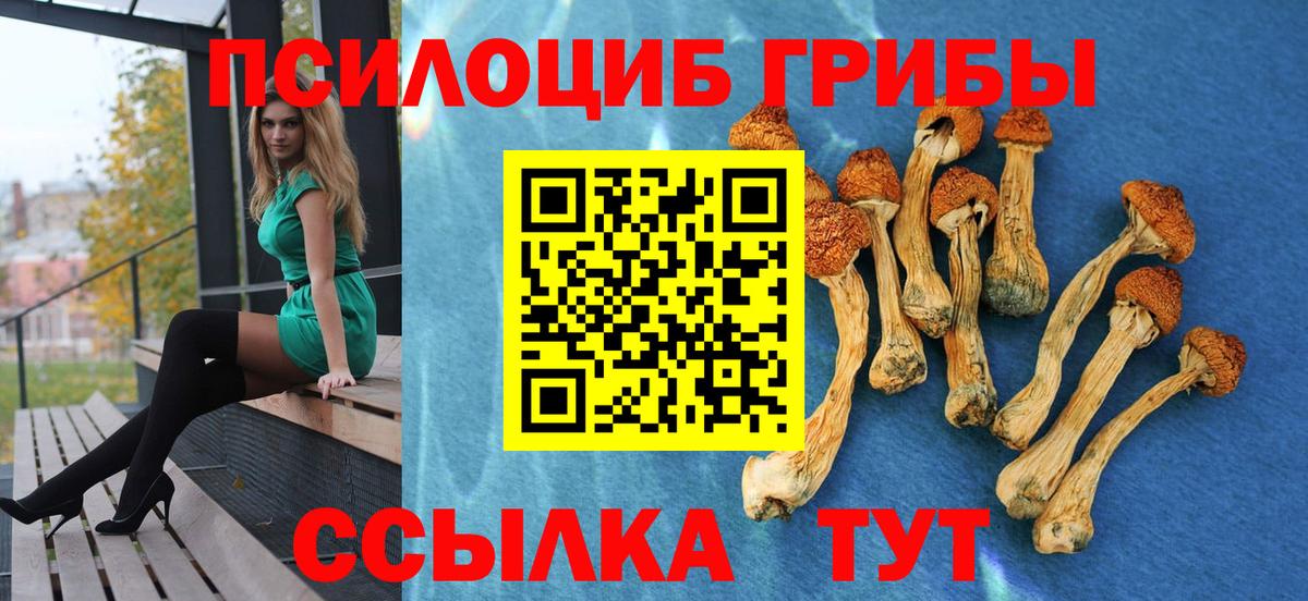 Лабытнанги  Псилоцибиновые грибы Magic Shrooms  Вход с VPN 