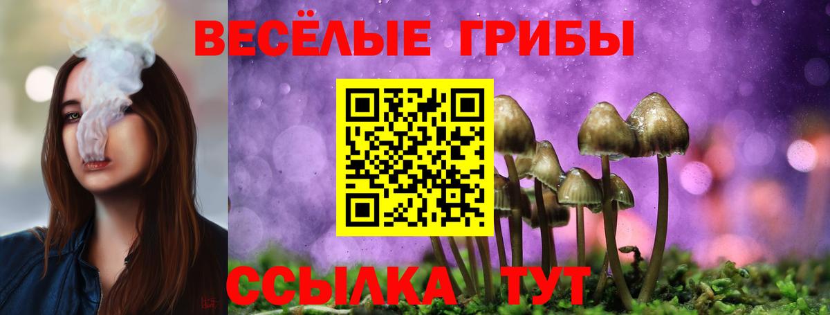 Псилоцибиновые грибы GOLDEN TEACHER Лабытнанги